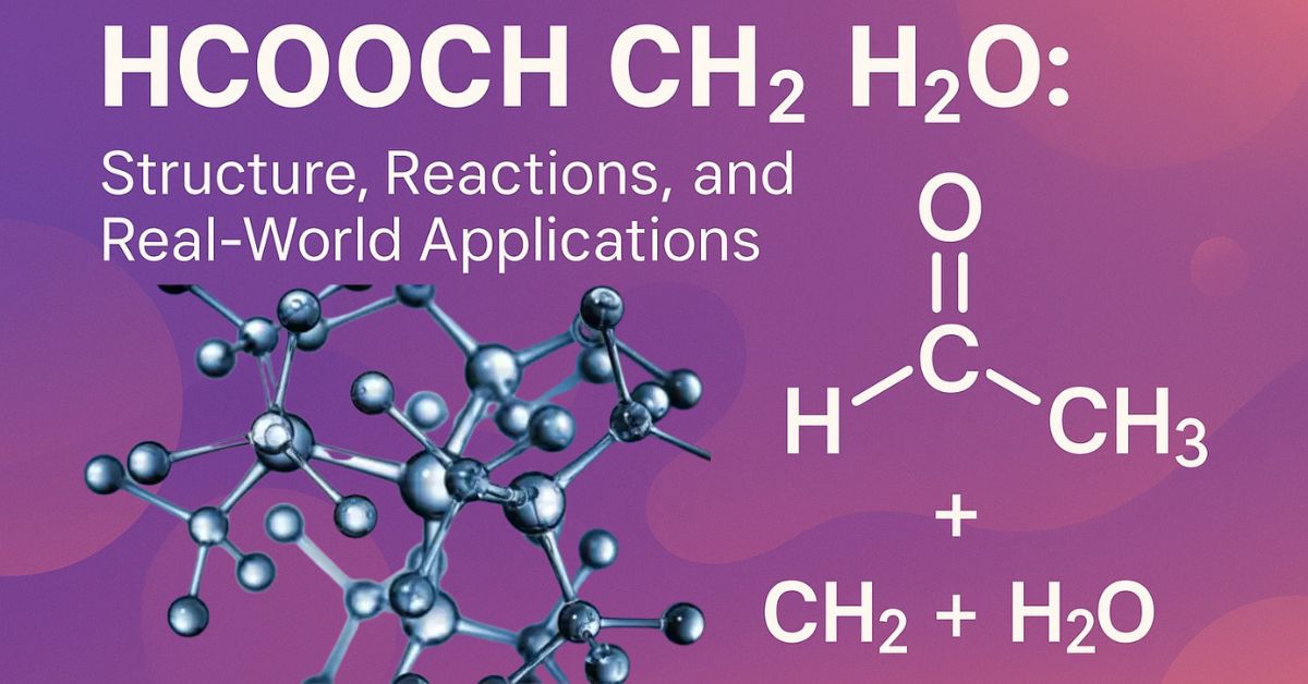 The HCOOCH CH₂ H₂O System An Interactive Exploration